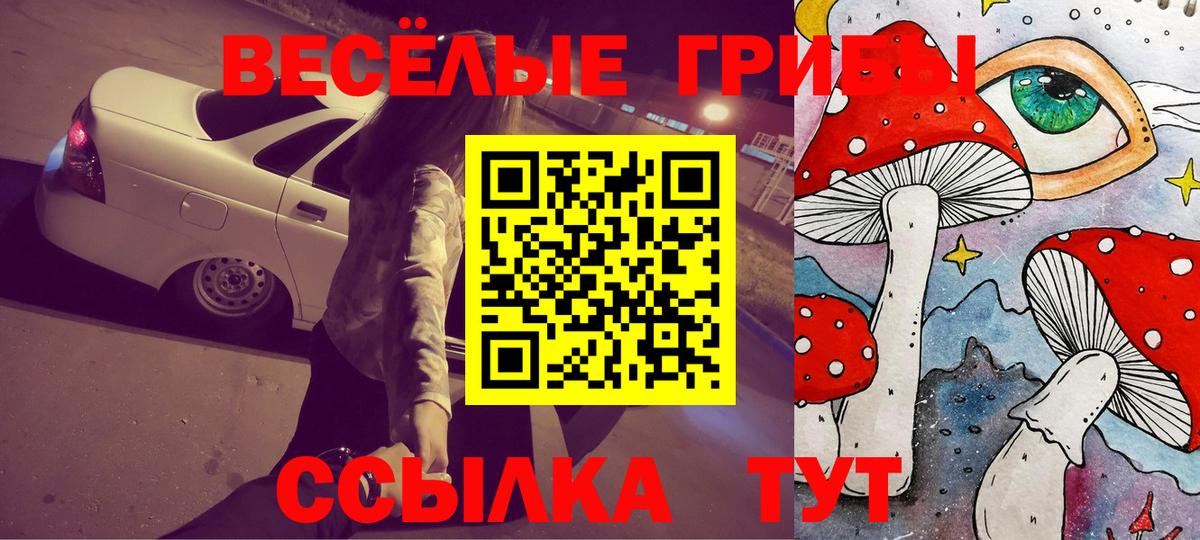 Псилоцибиновые грибы Cubensis  Галлюциногенные грибы Psilocybine cubensis  Вход с VPN  Корсаков 